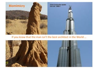 Biomimicry	
  

If	
  you	
  know	
  that	
  the	
  man	
  isn’t	
  the	
  best	
  architect	
  in	
  the	
  World	
  …	
  

 