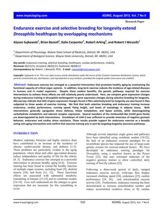  
 
 
 
 
 
 
 
 
 
INTRODUCTION
Modern, sedentary lifestyles and highly nutritive diets
have contributed to an increase in the incidence of
obesity, cardiovascular disease, and diabetes [1-3].
These problems are particularly evident in the aging
population, where these and other age-related diseases
reduce independence and quality of life for the elderly
[4, 5]. Endurance exercise has emerged as a powerful
intervention to promote healthy aging [6-8]. Exercise
training has been found to extend the healthy function
of multiple organ systems, including heart [9], skeletal
muscle [10], and brain [11, 12]. These functional
effects are associated with substantial metabolic
remodeling in humans [13-15] and in vertebrate models
[16-18]. Less well understood are the changes to gene
expression that are necessary for this remodeling to
occur.
Research Paper
Although several important single genes and pathways
have been identified using vertebrate models [19-22],
the lack of an endurance exercise paradigm for an
invertebrate species has impaired the use of large-scale
genetic screens for exercise-induced factors. We have
developed an endurance training paradigm for
Drosophila, using a machine known as the Power
Tower [23], that uses reiterated induction of the
negative geotaxis instinct to allow controlled, daily
training of fruit fly cohorts [23].
Following a three-week period of daily, ramped
endurance exercise activity, wild-type flies display
increased climbing speed [24], endurance [25], cardiac
performance [24, 26], and mitochondrial enzyme
activity [24]. Furthermore, endurance training has been
demonstrated to increase mitochondrial number and
reduce accumulated oxidative stress in fly cardiac
  www.impactaging.com AGING, August 2015, Vol. 7 No 8
Endurance exercise and selective breeding for longevity extend 
Drosophila healthspan by overlapping mechanisms   
 
Alyson Sujkowski1
, Brian Bazzell1
, Kylie Carpenter1
, Robert Arking2
, and Robert J Wessells1
 
 
   
1
 Department of Physiology, Wayne State School of Medicine, Detroit, MI  48201, USA 
2
 Department of Biological Science, Wayne State University, Detroit, MI  48201, USA 
 
Key words: endurance training, selective breeding, healthspan, cardiac performance, mobility 
Received: 04/23/15; Accepted: 08/03/15; Published: 08/08/15 
Correspondence to: Robert  J Wessells, PhD;   E‐mail:  rwessell@med.wayne.edu 
 
Copyright: Sujkowski et al. This is an open‐access article distributed under the terms of the Creative Commons Attribution License, which 
permits unrestricted use, distribution, and reproduction in any medium, provided the original author and source are credited 
 
Abstract: Endurance exercise has emerged as a powerful intervention that promotes healthy aging by maintaining the
functional capacity of critical organ systems.  In addition, long‐term exercise reduces the incidence of age‐related diseases
in  humans  and  in  model  organisms.    Despite  these  evident  benefits,  the  genetic  pathways  required  for  exercise
interventions to achieve these effects are still relatively poorly understood.  Here, we compare gene expression changes
during endurance training in Drosophila melanogaster to gene expression changes during selective breeding for longevity.
Microarrays indicate that 65% of gene expression changes found in flies selectively bred for longevity are also found in flies
subjected  to  three  weeks  of  exercise  training.    We  find  that  both  selective  breeding  and  endurance  training  increase
endurance,  cardiac  performance,  running  speed,  flying  height,  and  levels  of  autophagy  in  adipose  tissue.    Both
interventions  generally  upregulate  stress  defense,  folate  metabolism,  and  lipase  activity,  while  downregulating
carbohydrate metabolism and odorant receptor expression.  Several members of the methuselah‐like (mthl) gene family
are downregulated by both interventions.  Knockdown of mthl‐3 was sufficient to provide extension of negative geotaxis
behavior,  endurance  and  cardiac  stress  resistance.  These  results  provide  support  for  endurance  exercise  as  a  broadly
acting anti‐aging intervention and confirm that exercise training acts in part by targeting longevity assurance pathways.  
 
 
www.impactaging.com                     535                                     AGING, August 2015, Vol. 7 No.8 
 