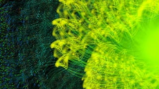 Popular Graph: ResNet-50 conv1, input data tensors to the 7x7 convolution on the right of the image in green and
yellow are processed by the convolution vertices into partials (light blue). Reductions (orange) process the partials
and pass on the non-linearity (blue). (Source: Graphcore)
 