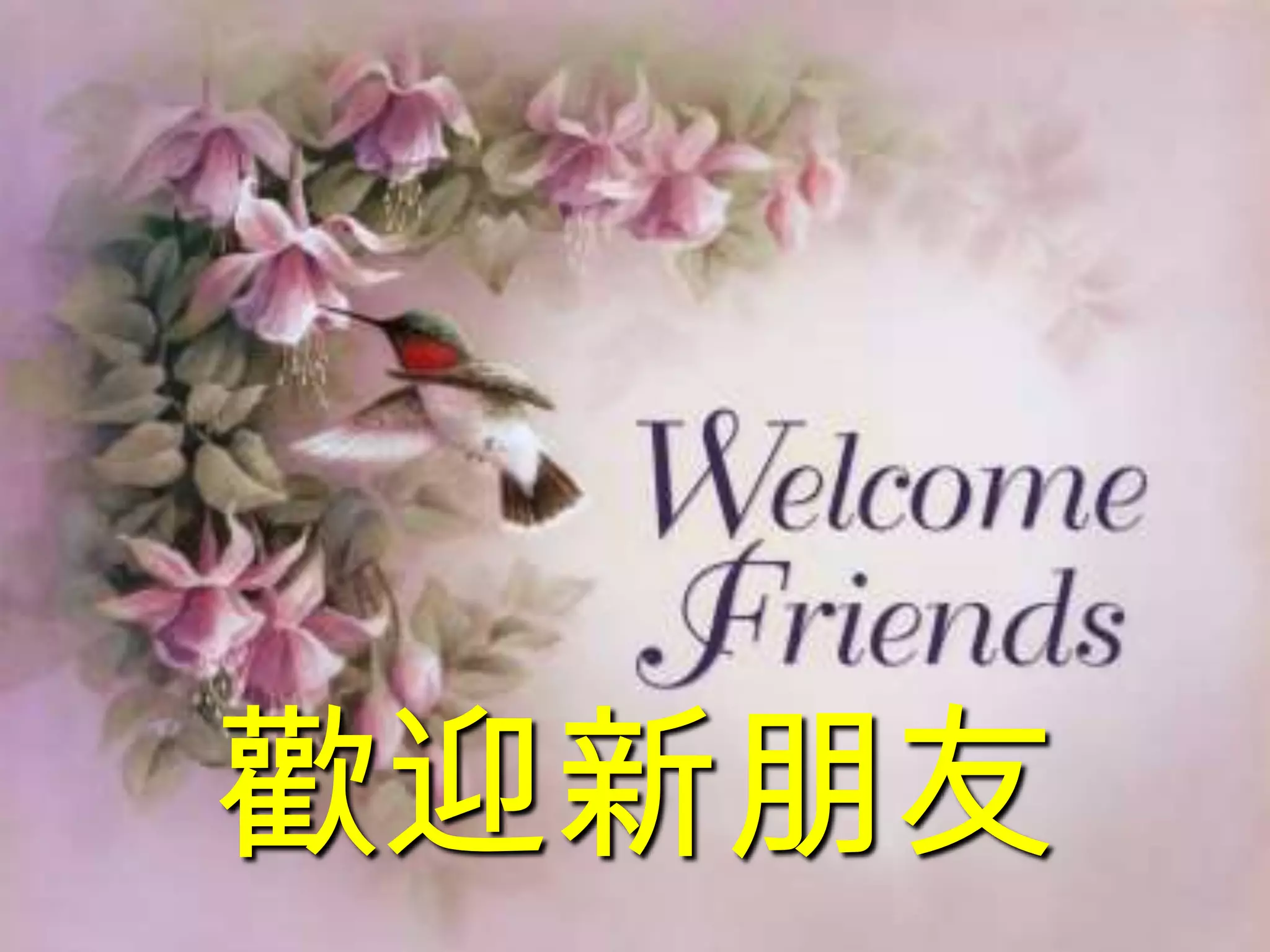 歡迎新朋友
 