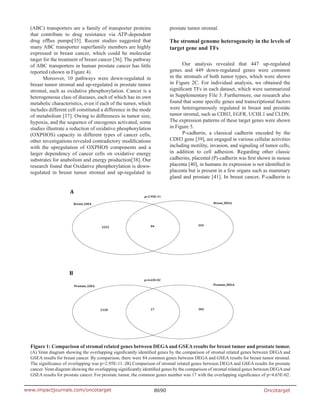 Oncotarget8690www.impactjournals.com/oncotarget
(ABC) transporters are a family of transporter proteins
that contribute to drug resistance via ATP-dependent
drug efflux pumps[35]. Recent studies suggested that
many ABC transporter superfamily members are highly
expressed in breast cancer, which could be molecular
target for the treatment of breast cancer [36]. The pathway
of ABC transporters in human prostate cancer has little
reported (shown in Figure 4).
Moreover, 10 pathways were down-regulated in
breast tumor stromal and up-regulated in prostate tumor
stromal, such as oxidative phosphorylation. Cancer is a
heterogeneous class of diseases, each of which has its own
metabolic characteristics, even if each of the tumor, which
includes different cell constituted a difference in the mode
of metabolism [37]. Owing to differences in tumor size,
hypoxia, and the sequence of oncogenes activated, some
studies illustrate a reduction of oxidative phosphorylation
(OXPHOS) capacity in different types of cancer cells,
other investigations revealed contradictory modifications
with the upregulation of OXPHOS components and a
larger dependency of cancer cells on oxidative energy
substrates for anabolism and energy production[38]. Our
research found that Oxidative phosphorylation is down-
regulated in breast tumor stromal and up-regulated in
prostate tumor stromal.
The stromal genome heterogeneity in the levels of
target gene and TFs
Our analysis revealed that 447 up-regulated
genes and 449 down-regulated genes were common
in the stromals of both tumor types, which were shown
in Figure 2C. For individual analysis, we obtained the
significant TFs in each dataset, which were summarized
in Supplementary File 3. Furthermore, our research also
found that some specific genes and transcriptional factors
were heterogeneously regulated in breast and prostate
tumor stromal, such as CDH3, EGFR, UCHL1 and CLDN.
The expression patterns of these target genes were shown
in Figure 5.
P-cadherin, a classical cadherin encoded by the
CDH3 gene [39], are engaged in various cellular activities
including motility, invasion, and signaling of tumor cells,
in addition to cell adhesion. Regarding other classic
cadherins, placental (P)-cadherin was first shown in mouse
placenta [40], in humans its expression is not identified in
placenta but is present in a few organs such as mammary
gland and prostate [41]. In breast cancer, P-cadherin is
Figure 1: Comparison of stromal related genes between DEGAand GSEAresults for breast tumor and prostate tumor.
(A) Venn diagram showing the overlapping significantly identified genes by the comparison of stromal related genes between DEGA and
GSEA results for breast cancer. By comparison, there were 84 common genes between DEGA and GSEA results for breast tumor stromal.
The significance of overlapping was p=2.95E-11. (B) Comparison of stromal related genes between DEGA and GSEA results for prostate
cancer. Venn diagram showing the overlapping significantly identified genes by the comparison of stromal related genes between DEGAand
GSEA results for prostate cancer. For prostate tumor, the common genes number was 17 with the overlapping significance of p=4.65E-02.
 