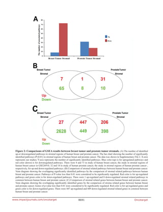 Oncotarget8691www.impactjournals.com/oncotarget
Figure 2: Comparisons of GSEA results between breast tumor and prostate tumor stromals. (A) The number of identified
up-or downregulated pathways in stromal regions of human breast and prostate cancer. The bar chart showing the number of significantly
identified pathways (P≤0.01) in stromal regions of human breast and prostate cancer. The data was shown in Supplementary File 2. X-axis
represents our studies; Y-axis represents the number of significantly identified pathways. Blue color (up) is for upregulated pathways and
red color (down) is for downregulated pathways. There were 8 and 73 in study of human breast cancer, the study in stromal regions of
human breast cancer in GSE26910; 32 and 18 in study of human prostate cancer, the study in stromal regions of human prostate cancer ,
respectively, for up-and down-regulated pathways. (B) Comparison of stromal related pathways between human breast and prostate cancer.
Venn diagram showing the overlapping significantly identified pathways by the comparison of stromal related pathways between human
breast and prostate cancer. Pathways of P-value less than 0.01 were considered to be significantly regulated. Red color is for up-regulated
pathways and green color is for down-regulated pathways. There were 1 up-regulated and 8 down-regulated stromal related pathways in
common between human breast and prostate cancer. (C) Comparison of stromal related genes between human breast and prostate cancer.
Venn diagram showing the overlapping significantly identified genes by the comparison of stroma related genes between human breast
and prostate cancer. Genes of p-value less than 0.01 were considered to be significantly regulated. Red color is for up-regulated genes and
green color is for down-regulated genes. There were 447 up-regulated and 449 down-regulated stromal related genes in common between
human breast and prostate cancer.
 