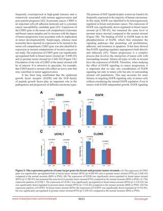 Oncotarget8693www.impactjournals.com/oncotarget
frequently overexpressed in high-grade tumours and is
extensively associated with tumour aggressiveness and
poor patient prognosis [42]. In prostate cancer, CDH3 is
an important cell-cell adhesion molecule and is a prostate
cancer susceptibility candidate gene [43]. Expression of
the CDH3 gene in the tumor cell compartment of prostate
and breast cancer samples and its increase with the degree
of tumor progression were accordant with its implication
in tumor development[44]. Surprisingly, whereas most
researches have reported its expression to be limited to the
tumor cell compartment, CDH3 gene was also identified to
expression in stromal compartments of invasive cancers in
our study. The expression of CDH3 gene was significantly
up-regulated both in breast tumor stromal (p= 4.69E-03)
and in prostate tumor stromal (p=2.66E-02) (Figure 5A).
Elucidation of the role of CDH3 in the tumor stromal will
be of interest. It is attractive to speculate, for example,
that CDH3-positive stromal cells reflect an active state that
may contribute to tumor aggressiveness.
It has been long established that the epidermal
growth factor receptor (EGFR) and the EGF-family
of peptide growth factor play an important role in the
pathogenesis and progression of different carcinoma types.
The proteins of EGF ligand/receptor system are found to be
frequently expressed in the majority of human carcinomas.
In this study, EGFR was identified to be heterogeneously
regulated in breast and prostate cancer. The expression of
EGFR was significantly down-regulated in breast tumor
stromal (p=2.70E-03), but remained the same level in
prostate tumor stromal compared to the normal stromal
(Figure 5B). The binding of EGF to EGFR leads to the
phosphorylation of EGFR, which then stimulates the
signaling pathways that promoting cell proliferation,
adhesion, and resistance to apoptosis. It has been showed
that EGFR signaling regulates angiogenesis both directly
and indirectly [45]. Tumor progression is a complex
process that involves the interaction of tumor cells with
surrounding stromal. Almost all types of cells in stromal
have the expression of EGFR. Therefore, when studying
the effect of EGFR signaling in cancer progression, it
is important that we take into consideration of EGFR
signaling not only in tumor cells but also in surrounding
stromal cell populations. This may accounts for some
failures in targeting EGFR signaling only in tumor cells
without considering the stromal EGFR regulation. Even in
tumors with EGFR-independent growth, EGFR signaling
Figure 5: The expression patterns of some target genes for breast and prostate tumor stromals. (A) The expression of CDH3
gene was significantly up-regulated both in breast tumor stromal (BTS) (p=4.69E-03) and in prostate tumor stromal (PTS) (p=2.66E-02)
compared to the normal stromals (BNS or PNS). (B) The expression of EGFR was significantly down-regulated in breast tumor stromal
(BTS) (p=2.70E-03), but remained the same level in prostate tumor stromal (PTS) compared to the normal stromals (BNS or PNS). (C) The
expression patterns of UCHL1. The expression of UCHL1 was significantly up-regulated in breast tumor stromal (BTS) (p=2.21E-02), but
was significantly down-regulated in prostate tumor stromal (PTS) (p=3.51E-02) compared to the normal stromals (BNS or PNS). (D) The
expression patterns of CLDN5. In breast tumor stromal (BTS), the expression of CLDN5 was significantly down-regulated (p=8.91E-05),
but was significantly up-regulated in prostate tumor stromal (PTS) (p=3.65E-02) compared to the normal stromals (BNS or PNS).
 