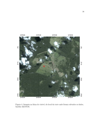 38
Figura 4: Imagem na faixa do visível, do local da torre onde foram coletados os dados,
Satélite IKONOS.
 