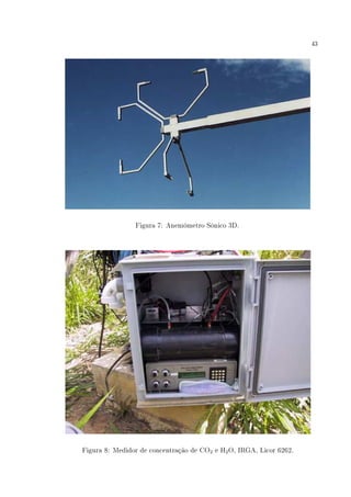 43
Figura 7: Anemômetro Sônico 3D.
Figura 8: Medidor de concentração de CO2 e H2O, IRGA, Licor 6262.
 