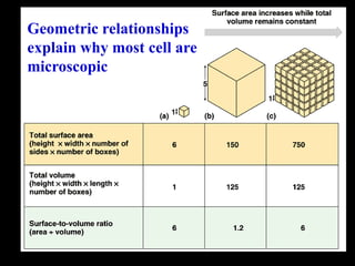 ชีววิทยา เรื่อง พิ้นฐานเซลล์ ตอนที่ 1 general cell | PDF