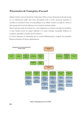 Présentation de l’entreprise d’accueil
[1]Selon l’article 4 de la loi 60-630 du 14-décembre-1960, La Caisse Nationale de Sécurité Sociale
est un établissement public doté d’une personnalité civile et d’une autonomie financière et
rattachée au secrétariat d ‘Etat, à la santé publique et aux affaires sociales, son siège est à Tunis et
elle regroupe divers bureaux régionaux tout au long du territoire tunisien.
Selon le premier article de la même loi, « cette organisation est destiné à protéger les travailleurs
et leurs familles contre les risques inhérents à la nature humaine, susceptible d’affecter les
conditions matérielles et morales de leur existence. »
La Caisse Nationale est administrée par un conseil d'administration, composé d'un président
Directeur Général et de douze administrateurs.
Figure 1 Organigramme de la CNSS
[2]
 