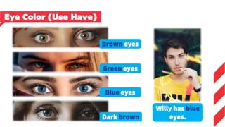 Brown eyes
Green eyes
Blue eyes
Dark brown
Willy has blue
eyes.
Eye Color (Use Have)
 