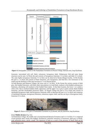 Stratigraphy and Lithology of Naokelekan Formation in Iraqi Kurdistan ...