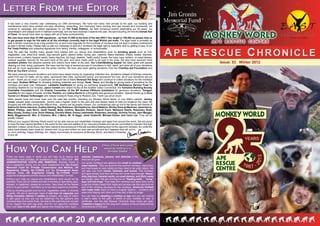 Letter From the EditorLetter From the Editor
UK Charity No. 1115350
Issue: 53 Winter 2012
APE RESCUE CHRONICLE
Charity No. 1126939
There are many ways in which you can help us to rescue and
rehabilitate more primates. All donations go into a 100% fund - NO
ADMINISTRATIVE COSTS ARE REMOVED. Monkey World is
not a registered charity, but we have established the Jim Cronin
Memorial Fund for Primate Conservation and Welfare, UK
Registered Charity, No.1126939 and the Endangered Asian
Species Trust, UK Registered Charity No.1115350, which
supports endangered primate rescue and rehabilitation in Asia.
Without your help our rescue and rehabilitation work would not be
possible. If you are on holiday and see a monkey or ape being used,
abused, or neglected, please let us know. Take down all the details
and try to get a photo – we follow up on as many reports as possible.
Help by donating goods such as fruit, vegetables, bread, or strands
of garlic. We are in particular need of cod liver oil capsules and
60mg chewable vitamin C tablets at present. Any type of melon
is also good as they are not too fattening! For the gibbons and
monkeys they love exotic fruits, but due to the cost they are not part
of our regular fruit and veg order. And for our capuchin monkeys
they love nuts in the shell and spend time breaking them open –
walnuts, hazelnuts, pecans, and almonds in the
shell are all good.
Our small monkeys and gibbons like small to medium
sized baskets. They are good for the squirrel monkeys, capuchins,
and marmosets to nest inside but they need to be quite robust. We
can also use more sheets, blankets, and towels. The monkeys
and apes simply love them and we can never have enough. Heavy-
duty dog toys, hessian sacks, un-used stamps, and thick ropes
are always used. We are running low on “feeding balls”, “kong”
toys and tub-trugs. They keep the monkeys and apes busy trying
to get the hidden treats from inside and we also use the rope pulls as
part of the climbing structure for the monkeys. American football
and rugby balls seem to have a tougher exterior – monkeys and
apes love playing with them and they last a little bit longer.
You can help by adopting a monkey or ape and you will receive
a year’s pass to the park, a photo of your monkey or ape, a
certificate, and the Ape Rescue Chronicle three times per year.
Establish a legacy for the long-term welfare of the primates and be
remembered in the park.
How You Can HelpHow You Can Help
It has been a very eventful year celebrating our 25th anniversary. We have had many new arrivals at the park, our building and
maintenance team have worked non-stop rebuilding, expanding, and improving many monkey and ape houses and enclosures, we
continue to campaign and collect signatures for our Pet Trade Petition, we held numerous events celebrating our 25 years, our
rehabilitation and release work in Vietnam continues, and we have received 3 awards this year, the last inducting Jim into the Dorset Hall
of Fame. He would have been so happy with all of these achievements.
We now have more than 57,000 signatures - up from 31,000 at the time of the last ARC!! Our target is 100,000 so please help us
to get people to sign for the sake of all the monkeys currently kept in the legal British pet trade. The legal trade in primates as
pets in Britain continues to be a big problem for us and more tragically for the hundreds of monkeys that are kept in solitary confinement
as pets in Britain today. Please help us with our campaign to give ALL monkeys the legal right to specialist care by getting a copy of our
Pet Trade Petition and collecting signatures from family, friends, colleagues, or schoolmates.
Over the past few months many people have helped with our rescue and rehabilitation work by donating goods such as fruit,
vegetables, nuts, dried fruit, seeds, dog biscuits, garlic, peanut butter, honey, jam, vitamins, fleece blankets, sheets, towels, blankets,
duvet covers, curtains, hessian sacks, heavy dog toys, tub trugs, baskets, “really useful” boxes, fire hose, rope, ladders, un-used stamps,
medical supplies, biscuits for the team here at the park, and hand made cards to be sold in the shop. We also have received more
excellent photos that adoptive parents and visitors have taken at the park. Our Linen/Bedding Appeal has been great with people
clearing out their airing cupboards. We have had the help of several groups of volunteers to fold, stack, and store all of your donations
that will be much appreciated over the winter months. We have also been getting donations from the Charities Aid Foundation and
Give as You Earn scheme.
We have received several donations and some have raised money by organising collection tins, donations instead of birthday presents,
used DVD and CD stalls, old toy sales, sponsored bike rides, sponsored swims, and sponsored fun runs. All of your donations are put
to use – thank you so much. In particular we would like to thank Verwood Pet Shop who continue to collect donations for the monkeys
and apes, Graham Milliner for donating building materials and fixings, Asda, Tesco, and Co-Op for giving loads of pumpkins for the
monkeys and apes over Halloween, Lamberts Healthcare for giving us nutritional supplements, SW Ambulance Service Trust for
donating needles for our hospital, Jason Corbett who raised money at the Scottish Tattoo Convention, the Yorkshire Building Society
Charitable Foundation and the Charity Committee of the BP Andrew Offshore Installation for generous donations, Paragon
Laundry for two cages of towels, and Iris, Pauline, and Janice Norris for a thoughtful and generous donation. Special thanks go to Euro
Tunnel and Breeze Volkswagen who helped transport Hsiao-ning to Rostock Zoo. Thank you all so much.
Many people have lost loved ones over the past few months, including our Monkey World family. In July Mike’s partner, Jeremy
Jones, passed away unexpectedly. Jeremy was a regular visitor to the park and was always ready to help out whatever the need. My
thoughts are with Mike during this difficult time - Jeremy will be greatly missed. Our condolences also go out to the family and friends of
Sabine Du’Verne-Harrison,Audrey Starling, Ray Robinson,Abi Haythorne, David Watkins, Shirley Sims de Martinez, Janet Harris,
Walter Phillips, Jean Birch, Janet Hezlett, Betty Jenkins, Maureen Dickson, David Court, Marianne Searle, Rosemary Snell,
Mary Guess, Dudley Loud, Doris Ottaway, Dorothy Webb, Emma Lewthwaite, Rosemary Jennings, Victoria Turvey, John Mauger,
Betty Wigglesworth, Mrs. D Charters, Mrs. J Mann, Mr. R Higgs, Janet Underhill, Michael Dicker, and Carol Lee. They will be
greatly missed.
Without your support Monkey World would not be able rescue and rehabilitate monkeys and apes from around the world. We are proud
to have the best captive facilities in the world for the care and welfare of our rescued primates and we are committed to maintain this high
standard. Indeed, some of you may have noticed a new enclosure in the oak woodland leading down to the capuchin complex.As I write this
plans have already been made for Jeremy and I to go and collect our next new arrivals and as it happens they will arrive
on Jim’s birthday. Happy Birthday Jim, Happy Anniversary to everyone at Monkey World, and Merry Christmas
to you all.
Chica, Chuva and Lucky
enjoying nesting in a
donated basket
20
 
