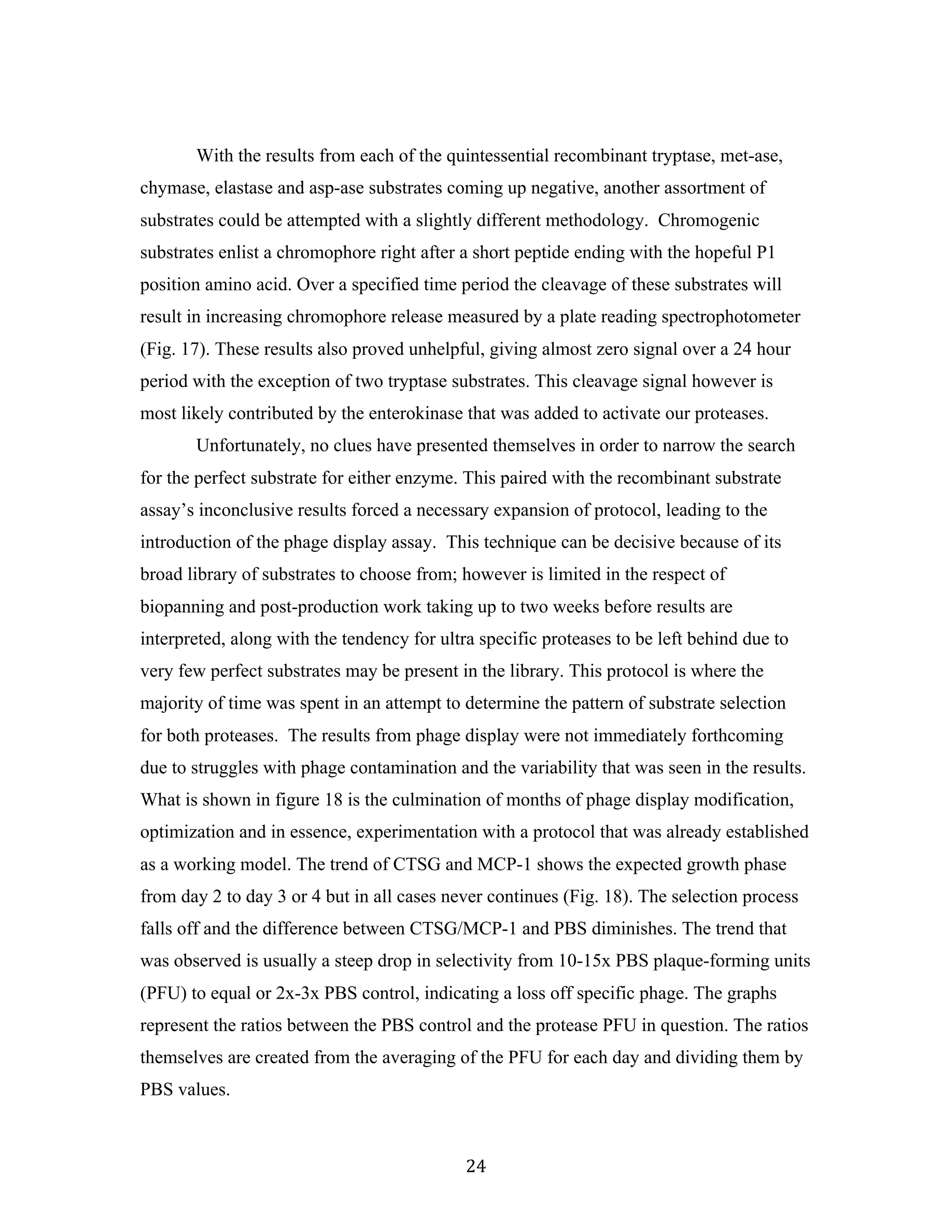 24	
With the results from each of the quintessential recombinant tryptase, met-ase,
chymase, elastase and asp-ase substrates coming up negative, another assortment of
substrates could be attempted with a slightly different methodology. Chromogenic
substrates enlist a chromophore right after a short peptide ending with the hopeful P1
position amino acid. Over a specified time period the cleavage of these substrates will
result in increasing chromophore release measured by a plate reading spectrophotometer
(Fig. 17). These results also proved unhelpful, giving almost zero signal over a 24 hour
period with the exception of two tryptase substrates. This cleavage signal however is
most likely contributed by the enterokinase that was added to activate our proteases.
Unfortunately, no clues have presented themselves in order to narrow the search
for the perfect substrate for either enzyme. This paired with the recombinant substrate
assay’s inconclusive results forced a necessary expansion of protocol, leading to the
introduction of the phage display assay. This technique can be decisive because of its
broad library of substrates to choose from; however is limited in the respect of
biopanning and post-production work taking up to two weeks before results are
interpreted, along with the tendency for ultra specific proteases to be left behind due to
very few perfect substrates may be present in the library. This protocol is where the
majority of time was spent in an attempt to determine the pattern of substrate selection
for both proteases. The results from phage display were not immediately forthcoming
due to struggles with phage contamination and the variability that was seen in the results.
What is shown in figure 18 is the culmination of months of phage display modification,
optimization and in essence, experimentation with a protocol that was already established
as a working model. The trend of CTSG and MCP-1 shows the expected growth phase
from day 2 to day 3 or 4 but in all cases never continues (Fig. 18). The selection process
falls off and the difference between CTSG/MCP-1 and PBS diminishes. The trend that
was observed is usually a steep drop in selectivity from 10-15x PBS plaque-forming units
(PFU) to equal or 2x-3x PBS control, indicating a loss off specific phage. The graphs
represent the ratios between the PBS control and the protease PFU in question. The ratios
themselves are created from the averaging of the PFU for each day and dividing them by
PBS values.
 