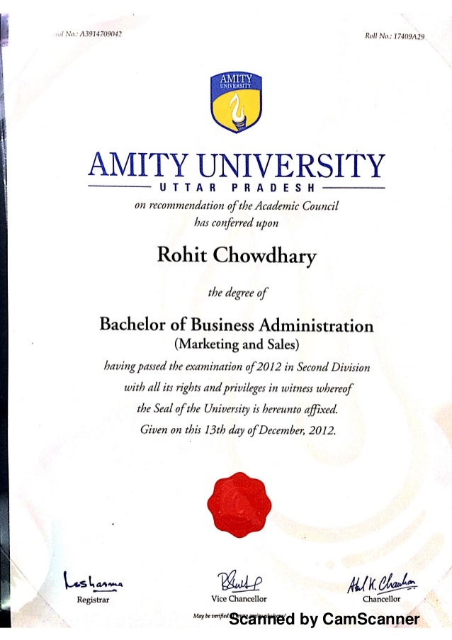 BBA Degree bba-degree
