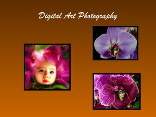 Digital Art Photography
 