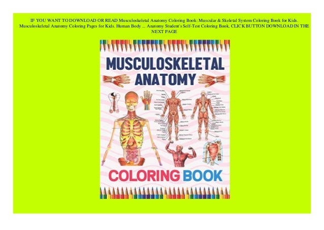Download Pdf Musculoskeletal Anatomy Coloring Book Muscular Skeletal Sy
