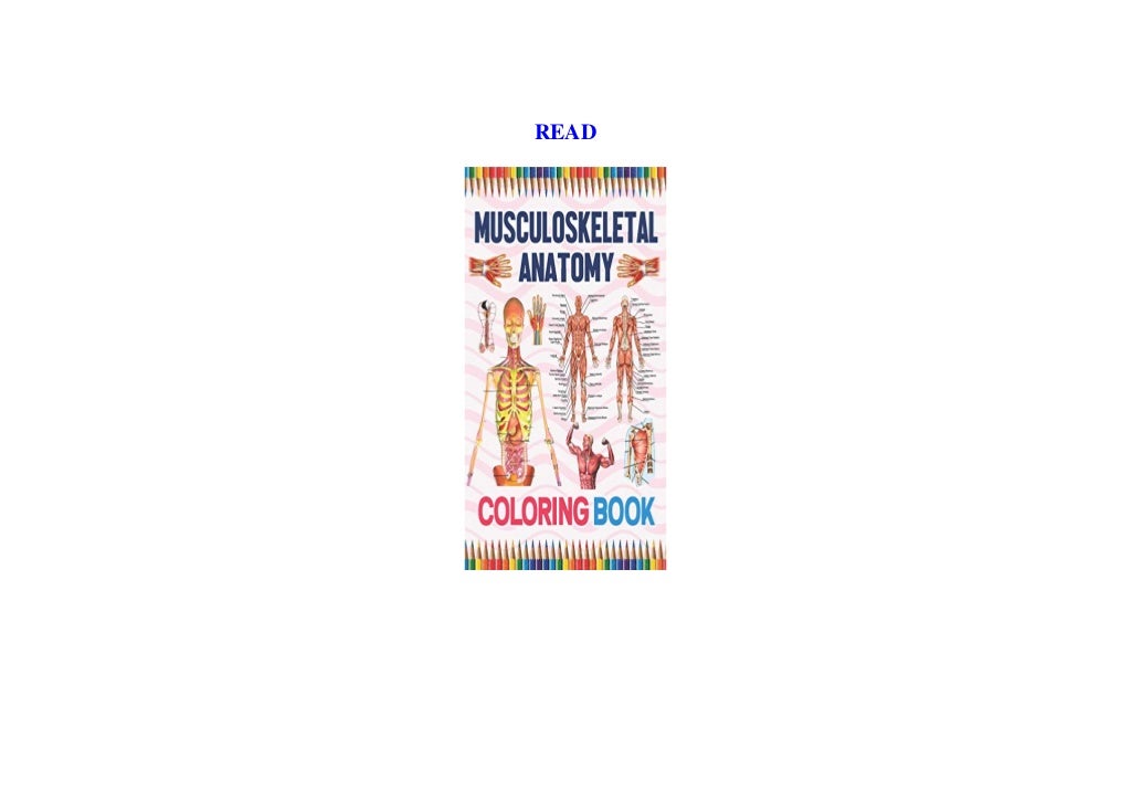 [ PDF ️] Musculoskeletal Anatomy Coloring Book Muscular & Skeletal