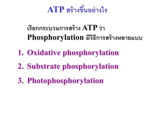 ATP สร้ างขึนอย่ างไร
                    ้

  เรียกกระบวนการสร้ าง ATP ว่ า
  Phosphorylation มีวธีการสร้ างหลายแบบ
                         ิ
1. Oxidative phosphorylation
2. Substrate phosphorylation
3. Photophosphorylation
 
