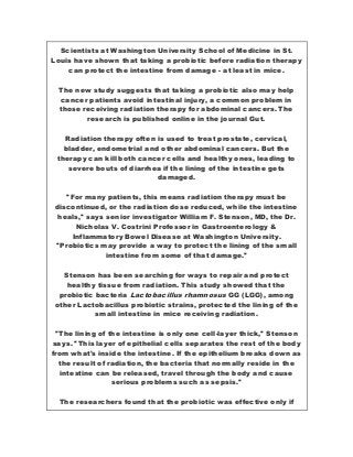 Scientists at Washington University School of Medicine in St.
Louis have shown that taking a probiotic before radiation therapy
can protect the intestine from damage - at least in mice.
The new study suggests that taking a probiotic also may help
cancer patients avoid intestinal injury, a common problem in
those receiving radiation therapy for abdominal cancers. The
research is published online in the journal Gut.
Radiation therapy often is used to treat prostate, cervical,
bladder, endometrial and other abdominal cancers. But the
therapy can kill both cancer cells and healthy ones, leading to
severe bouts of diarrhea if the lining of the intestine gets
damaged.
"For many patients, this means radiation therapy must be
discontinued, or the radiation dose reduced, while the intestine
heals," says senior investigator William F. Stenson, MD, the Dr.
Nicholas V. Costrini Professor in Gastroenterology &
Inflammatory Bowel Disease at Washington University.
"Probiotics may provide a way to protect the lining of the small
intestine from some of that damage."
Stenson has been searching for ways to repair and protect
healthy tissue from radiation. This study showed that the
probiotic bacteria Lactobacillus rhamnosus GG (LGG), among
other Lactobacillus probiotic strains, protected the lining of the
small intestine in mice receiving radiation.
"The lining of the intestine is only one cell-layer thick," Stenson
says. "This layer of epithelial cells separates the rest of the body
from what's inside the intestine. If the epithelium breaks down as
the result of radiation, the bacteria that normally reside in the
intestine can be released, travel through the body and cause
serious problems such as sepsis."
The researchers found that the probiotic was effective only if
 