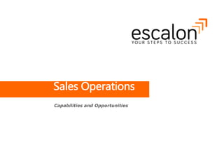 Sales Operations
Capabilities and Opportunities
 