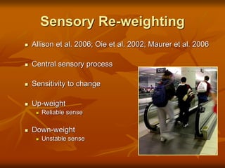 Sensory Re-weighting
 Allison et al. 2006; Oie et al. 2002; Maurer et al. 2006
 Central sensory process
 Sensitivity to change
 Up-weight
 Reliable sense
 Down-weight
 Unstable sense
 