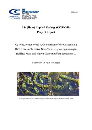 10484463
BSc (Hons) Applied Zoology (CORN310)
Project Report
O2 to be, or not to be? A Comparison of the Oxygenating
Differences of Invasive Non-Native Lagarosiphon major
(Ridley) Moss and Native Ceratophyllum demersum L.
Supervisor: Dr Peter McGregor
Lagarosiphon major (left) and Ceratophyllumdemersum (right) (Mitchell-Holland, 2016).
 