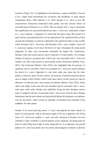 14
occasions (Figure 3A). As highlighted in the literature, oxygen availability is known
to be a major factor determining the occurrence and abundance of many aquatic
communities (Ruse, 1996; Gabriels et al., 2007; Desmet et al., 2011) as low DO
concentrations characterise diminished water quality and have adverse effects on
associated species (Hussner et al., 2014). This can explain why L. major consistently
had significantly less associated biodiversity than C. demersum- particularly evident
in L. major replicate 1 (Appendix C), which had the lowest mean DO overall (5.4
mg/L) and no associated pond life over the study period. The significant effect of time
on pond life abundance can also be explained by the significant effect of time on DO,
which increased with C. demersum, and decreased with L. major samples. Across all
C. demersum samples, levels never fell below 6.4 mg/L throughout the study period
(Appendix F), thus, were consistently sustainable for aquatic life. Furthermore,
literature states that certain species may be indicators of water quality. For example,
shrimps (Crangonyx pseudogracilis), which were only associated with C. demersum
samples, are often only present in good quality ponds (Freshwater Habitats Trust,
2016). The Freshwater Habitats Trust (2016) also highlighted that the presence of
organisms such as cassisflies, which were abundant in C. demersum pond conditions
but absent in L. major (Appendix C), and water snails may mean that the water
quality is relatively good. On the contrary, the presence of pollution-tolerant species
such as sludge worms (Tubifex tubifex) and water slaters (Asellus aquaticus) may be
indicators of relatively poor water quality (Freshwater Habitats Trust, 2016). Water
slaters and sludge worms were the most abundant species associated with L. major,
with water snails (after shrimps and caddisflies) being the least abundant species
(only 2 compared with the 10 associated with C. demersum). Overall, these findings
demonstrate that the native plant was the preferred habitat for freshwater invertebrates
over the non-native, which created an unhealthy environment and unsuitable living
conditions for such species.
Outside of its normal growing season, L. major outcompeted the native species in
terms of overall growth, with an end mean weight of 233.1g compared to the 198.3g
mean of C. demersum samples. L. major not only increased in biomass, but also
exhibited a wider variability in growth patterns across replicates, deviating quite far
from its initial 200g start-weight at times (Appendix G). In comparison, the growth
patterns of C. demersum plants were less erratic and managed to maintain a relatively
 