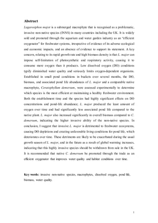 1
Abstract
Lagarosiphon major is a submerged macrophyte that is recognised as a problematic,
invasive non-native species (INNS) in many countries including the UK. It is widely
sold and promoted through the aquarium and water garden industry as an “efficient
oxygenator” for freshwater systems, irrespective of evidence of its adverse ecological
and economic impacts, and an absence of evidence to support its statement. A key
concern, relating to its rapid growth rate and high biomass density is that L. major can
impose self-limitation of photosynthetic and respiratory activity, causing it to
consume more oxygen than it produces. Low dissolved oxygen (DO) conditions
typify diminished water quality and seriously limits oxygen-dependent organisms.
Established in small pond conditions in buckets over several months, the DO,
biomass, and associated pond life abundances of L. major and a comparable native
macrophyte, Ceratophyllum demersum, were assessed experimentally to determine
which species is the most efficient at maintaining a healthy freshwater environment.
Both the establishment time and the species had highly significant effects on DO
concentrations and pond-life abundance; L. major produced the least amount of
oxygen over time and had significantly less associated pond life compared to the
native plant. L. major also increased significantly in overall biomass compared to C.
demersum, indicating the higher invasive ability of the non-native species. In
conclusion, I suggest that invasive L. major is detrimental to freshwater ecosystems,
causing DO depletions and creating unfavorable living conditions for pond life, which
deteriorates over time. These detriments are likely to be exacerbated during the usual
growth season of L. major, and in the future as a result of global warming increases,
indicating that this highly invasive species should be withdrawn from sale in the UK.
It is recommended that native C. demersum be promoted through the trade as an
efficient oxygenator that improves water quality and habitat conditions over time.
Key words: invasive non-native species, macrophytes, dissolved oxygen, pond life,
biomass, water quality.
 