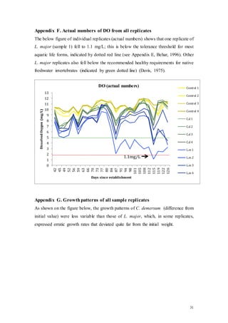 31
Appendix F. Actual numbers of DO from all replicates
The below figure of individual replicates (actual numbers) shows that one replicate of
L. major (sample 1) fell to 1.1 mg/L; this is below the tolerance threshold for most
aquatic life forms, indicated by dotted red line (see Appendix E, Behar, 1996). Other
L. major replicates also fell below the recommended healthy requirements for native
freshwater invertebrates (indicated by green dotted line) (Davis, 1975).
Appendix G. Growthpatterns of all sample replicates
As shown on the figure below, the growth patterns of C. demersum (difference from
initial value) were less variable than those of L. major, which, in some replicates,
expressed erratic growth rates that deviated quite far from the initial weight.
0
1
2
3
4
5
6
7
8
9
10
11
12
13
42
45
49
52
56
59
63
66
70
73
77
80
84
87
91
94
98
101
105
108
112
115
119
122
126
DissolvedOxygen(mg/L)
Days since establishment
DO (actual numbers) Control 1
Control 2
Control 3
Control 4
C.d 1
C.d 2
C.d 3
C.d 4
L.m 1
L.m 2
L.m 3
L.m 4
1.1mg/L
 