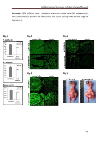 28th International Symposium on Pediatric Surgical Research
10
Conclusion: ROCK inhibition impairs cytoskeletal arrangement during early chick embryogenesis,
which may contribute to failure of anterior body wall closure causing VBWD at later stages of
development.
 
