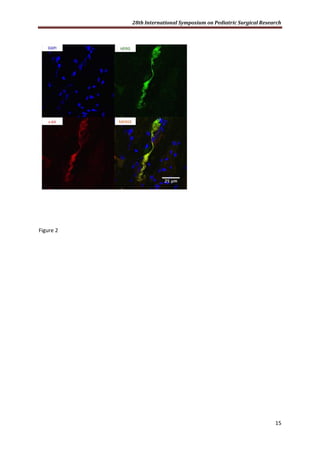 28th International Symposium on Pediatric Surgical Research
15
Figure 2
 