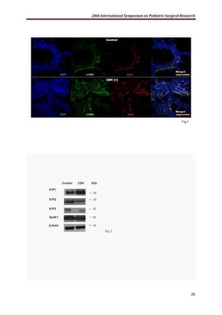 28th International Symposium on Pediatric Surgical Research
26
Fig.1
 