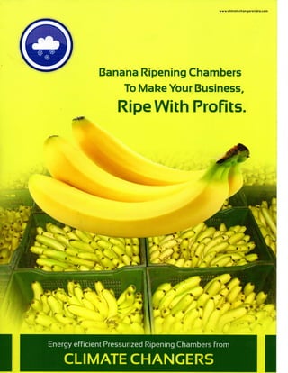 www.climatechangersindia.com
Banana Ripening Chambers
To Make Your Business,
Ripe With Profits.
Energy efficient Pressurized Ripening Chambers from
CLIMATE CHANGERS
 