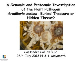 A Genomic and Proteomic Investigation
of the Plant Pathogen
Armillaria mellea: Buried Treasure or
Hidden Threat?
Cassandra Collins B.Sc.
26th July 2013 N.U. I. Maynooth
 