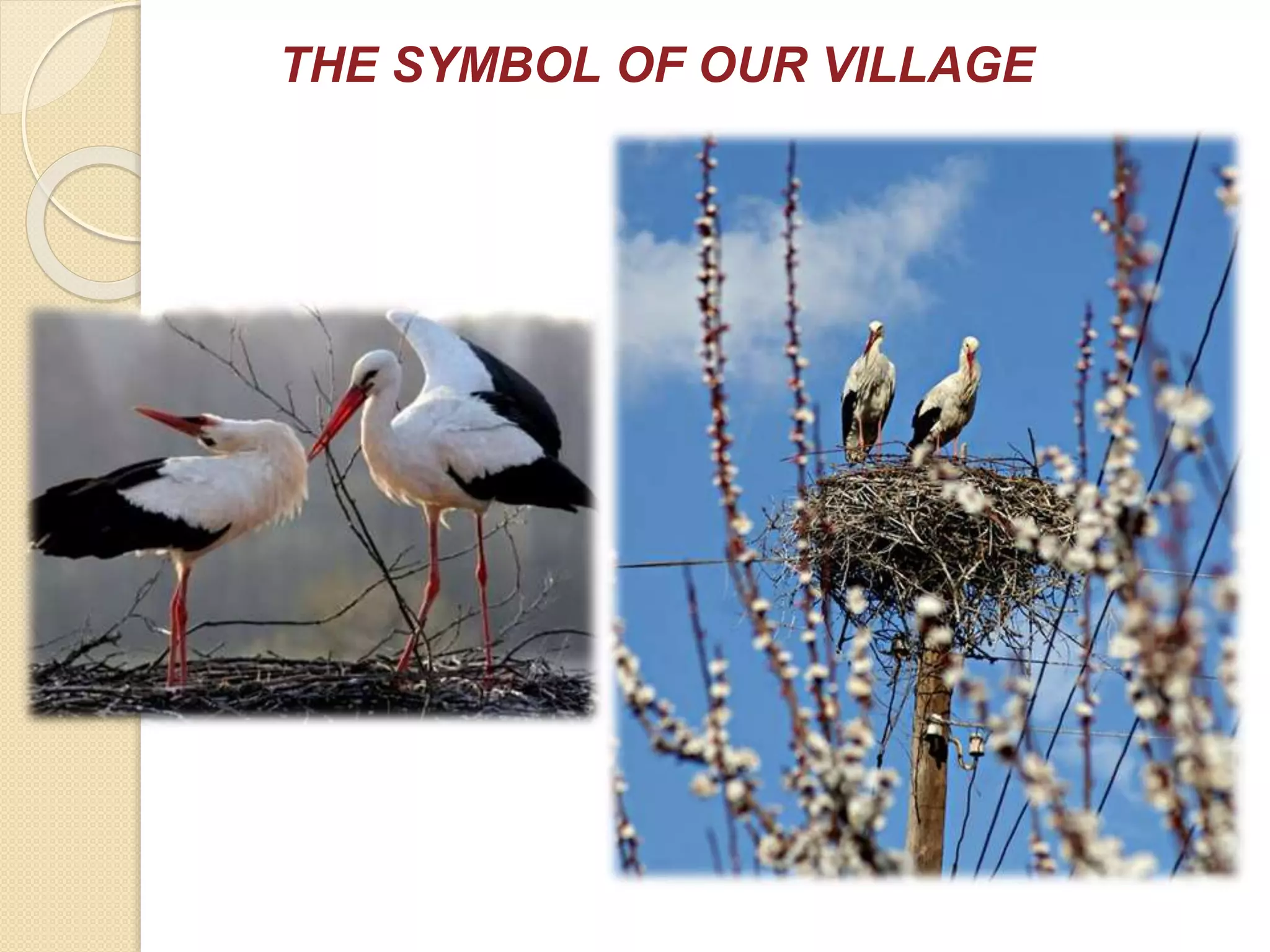 THE SYMBOL OF OUR VILLAGE