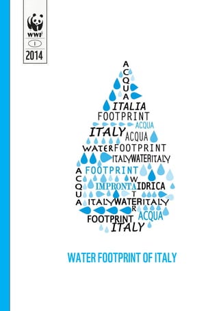 The water footprint of Italy
