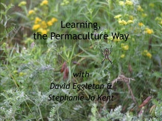 Learning,
the Permaculture Way
with
David Eggleton &
Stephanie Jo Kent
 