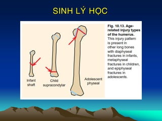 SINH LYÙ HOÏC
 