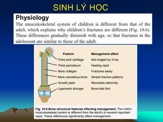 SINH LYÙ HOÏC
 