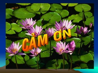 GÃY XƯƠNG TRẺ EM