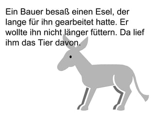 Ein Bauer besaß einen Esel, der lange für ihn gearbeitet hatte.  Er wollte ihn nicht länger füttern. Da lief ihm das Tier davon. 
