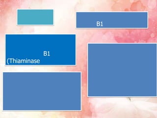 B1



              B1
(Thiaminase
 