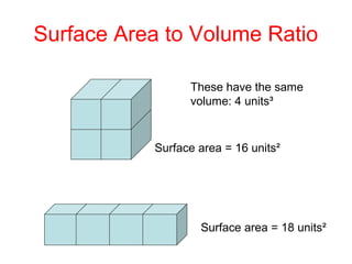 Surface Area to Volume Ratio
These have the same
volume: 4 units³
Surface area = 16 units²
Surface area = 18 units²
 