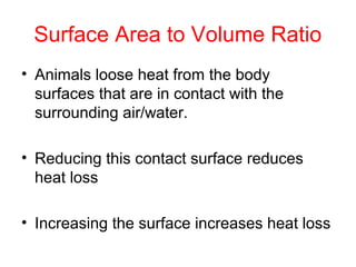 Surface Area to Volume Ratio
• Animals loose heat from the body
surfaces that are in contact with the
surrounding air/water.
• Reducing this contact surface reduces
heat loss
• Increasing the surface increases heat loss
 