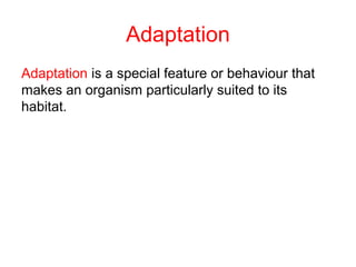 Adaptation
Adaptation is a special feature or behaviour that
makes an organism particularly suited to its
habitat.
 