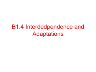 B1.4 Interdedpendence and
Adaptations
 