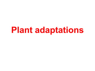 Plant adaptations
 