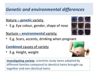 Genetic and environmental differences
Nature – genetic variety
• E.g. Eye colour, gender, shape of nose
Nurture – environmental variety
• E.g. Scars, accents, drinking when pregnant
Combined causes of variety
• E.g. Height, weight
Investigating variety: scientists study twins adopted by
different families compared to identical twins brought up
together and non-identical twins
 