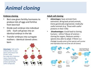 Animal cloning
Embryo cloning
• Best cow given fertility hormones to
produce lots of eggs and fertilise
from best bull
• Divide each embryo into individual
cells - Each cell grows into an
identical embryo in the lab
• Transfer embryos into surrogate
mothers - Identical cloned calves
born
Adult cell cloning
• Advantages: Save animals from
extinction, Bring back prized animals,
Clone genetically engineered, medically
useful animals (e.g. Those with useful
proteins in their milk)
• Disadvantages: Could lead to cloning
humans – ethics? Abuse of science –
cloning for organs, Reduces variety –
species less able to adapt if there is a
change (usually some of the species will survive
and reproduce but not if we are all clones)
Advantages: high quality
embryos taken to poor
places and produce lots
of milk / meat.
Can make lots of identical
copies of genetically
modified embryos that
produce genetically
useful compounds
 