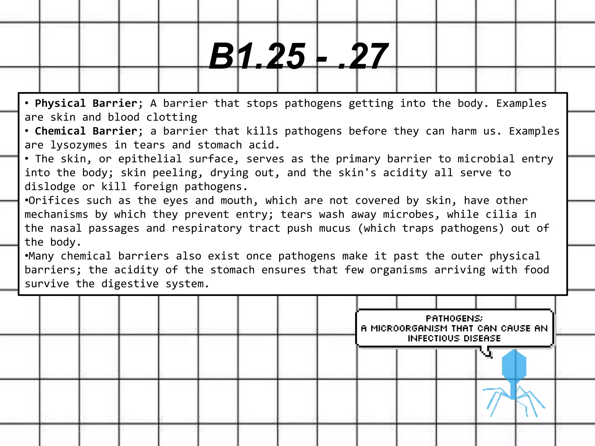 B1.25 - .27
• Physical Barrier; A barrier that stops pathogens getting into the body. Examples
are skin and blood clotting
• Chemical Barrier; a barrier that kills pathogens before they can harm us. Examples
are lysozymes in tears and stomach acid.
• The skin, or epithelial surface, serves as the primary barrier to microbial entry
into the body; skin peeling, drying out, and the skin's acidity all serve to
dislodge or kill foreign pathogens.
•Orifices such as the eyes and mouth, which are not covered by skin, have other
mechanisms by which they prevent entry; tears wash away microbes, while cilia in
the nasal passages and respiratory tract push mucus (which traps pathogens) out of
the body.
•Many chemical barriers also exist once pathogens make it past the outer physical
barriers; the acidity of the stomach ensures that few organisms arriving with food
survive the digestive system.
 
