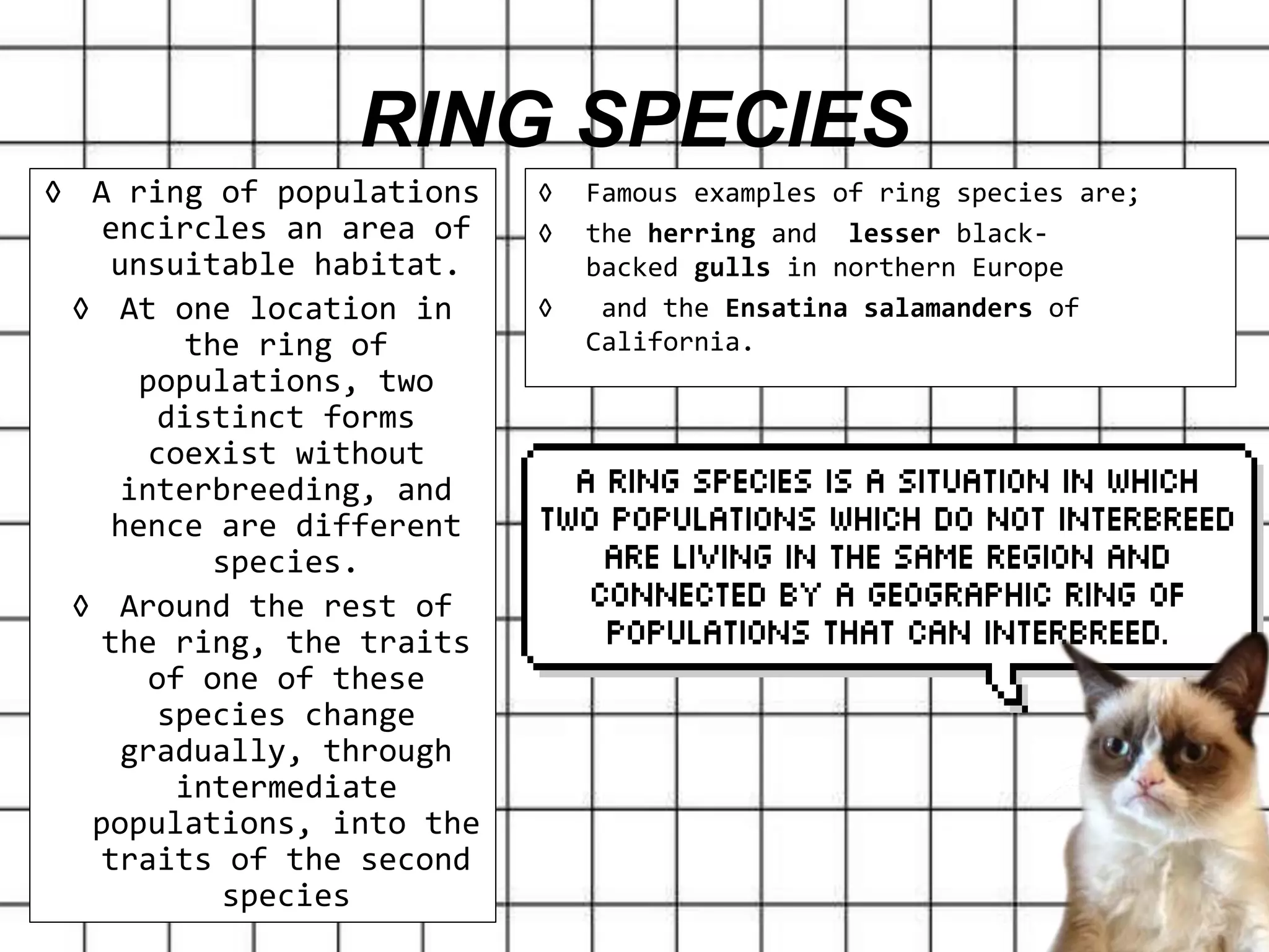 ◊ A ring of populations
encircles an area of
unsuitable habitat.
◊ At one location in
the ring of
populations, two
distinct forms
coexist without
interbreeding, and
hence are different
species.
◊ Around the rest of
the ring, the traits
of one of these
species change
gradually, through
intermediate
populations, into the
traits of the second
species
RING SPECIES
◊ Famous examples of ring species are;
◊ the herring and lesser black-
backed gulls in northern Europe
◊ and the Ensatina salamanders of
California.
 
