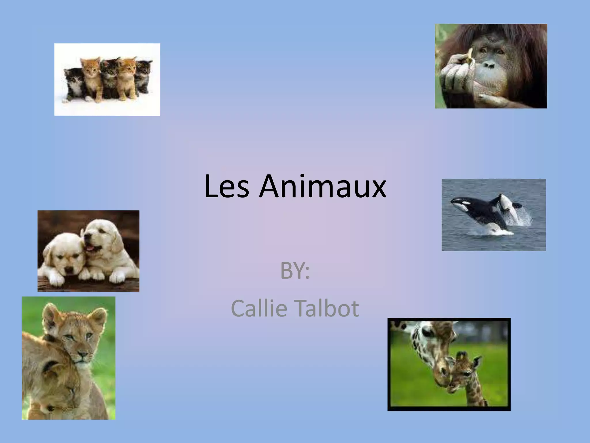 Les Animaux BY:Callie Talbot